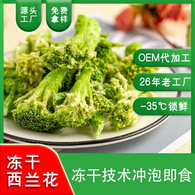 冻干西兰花头 FD西兰花 冷冻干燥蔬菜 江苏顶能厂家散装供应图2
