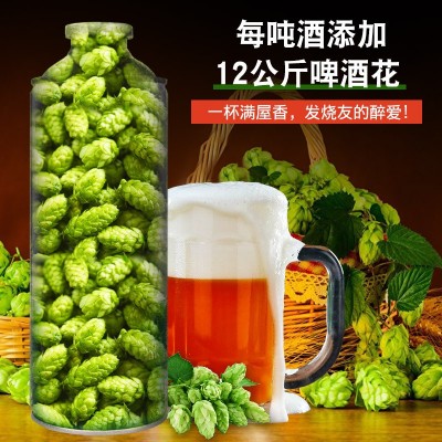 青岛原产地全麦发酵浑浊性白啤精酿原浆啤酒厂家直营阿啤艾14度图2