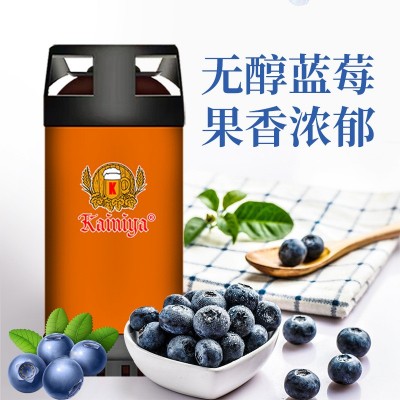 原浆啤酒 20升IPA 高浓度精酿鲜啤 酒馆啤酒屋用酒厂家诚招合作商图3