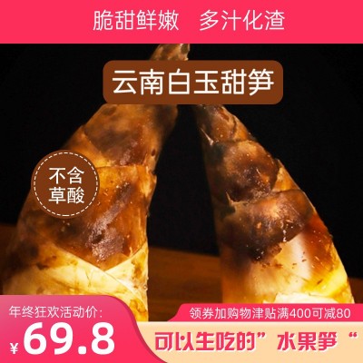 云南新鲜甜笋普洱镇沅曼歇坝马蹄笋片脆嫩春笋特产甜竹笋头火锅笋