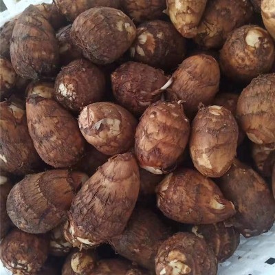 芋头软糯香甜现挖细糯粘滑自然种植香芋新鲜产地直发芋头图2