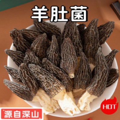羊肚菌特产新货干菌菇干货羊肚菌散装农产品食用菌煲汤大量批发图4