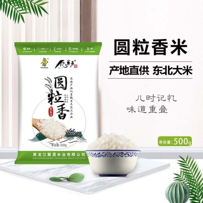 东北珍珠米1斤 东北特产2023大米500g一件代发现货粮油一斤大米图3