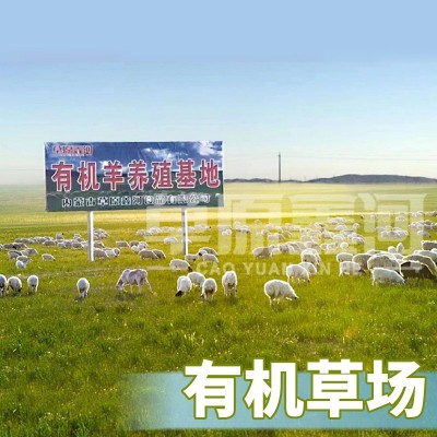 正宗内蒙古羔羊肉片原切250g盒装烧烤火锅食材涮锅羔羊肉批发图4