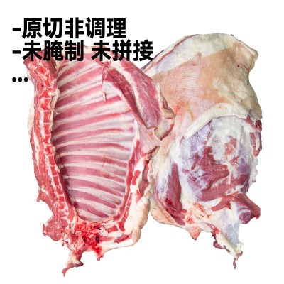 新疆羊肉工厂生鲜国产新鲜包邮4斤羔羊排羊肉手抓整扇烧烤商用图5