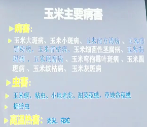 分享农业知识帮农民增产增收