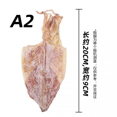 烧烤专用鱿鱼干500g淡干散装尤鱼仔微波商用手撕芥末北海特产干图5