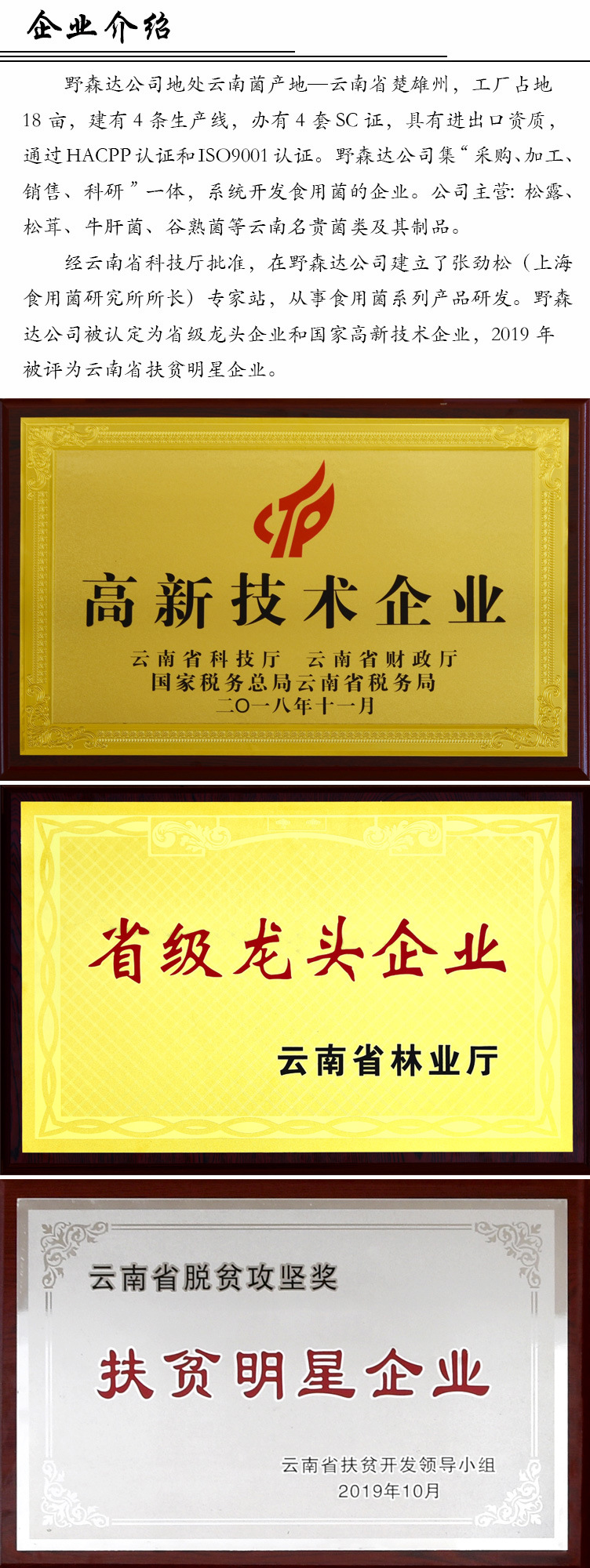 企业介绍