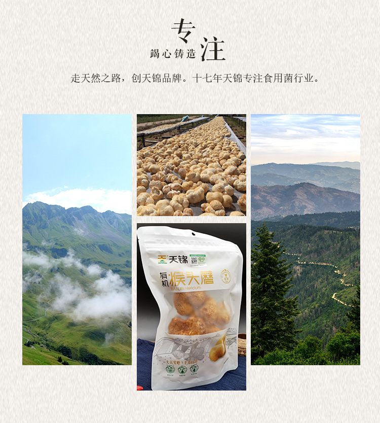 山水系列-猴头菇_04.jpg