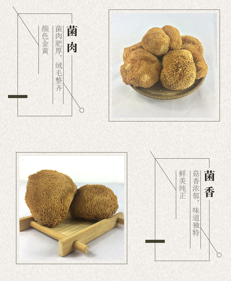山水系列-猴头菇_03.jpg