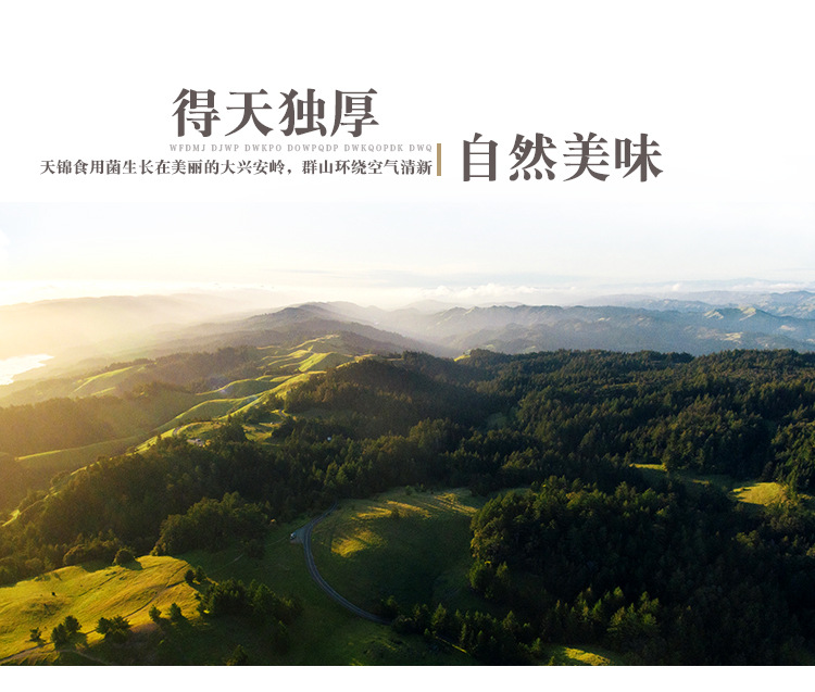 山水-有机秋木耳_07.jpg