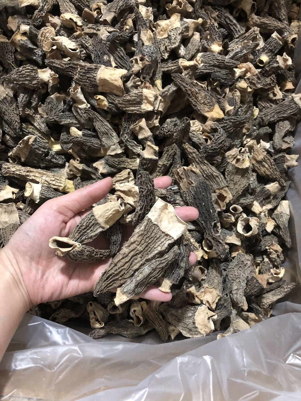 微信图片_20220523184757.jpg
