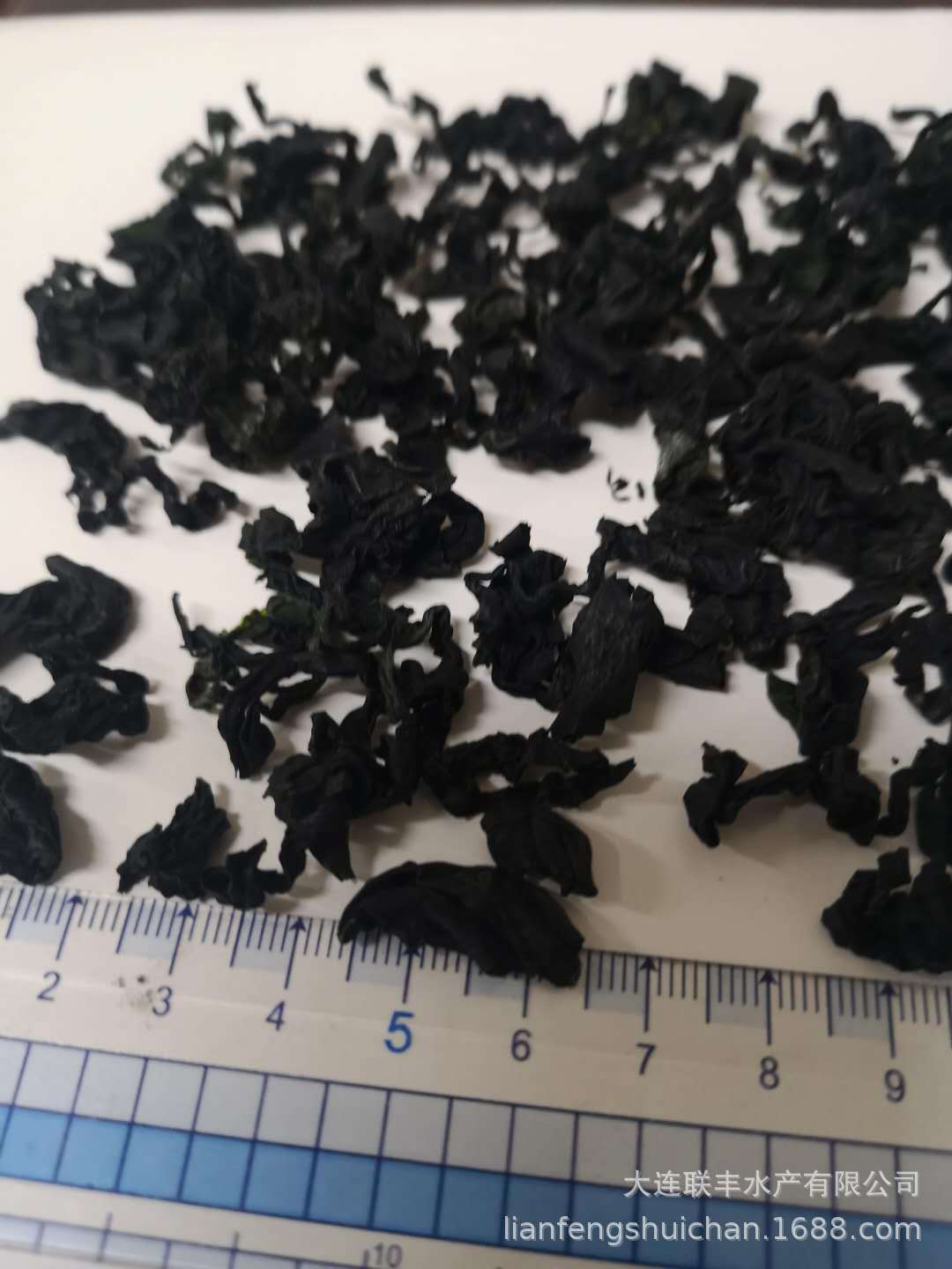 裙带菜