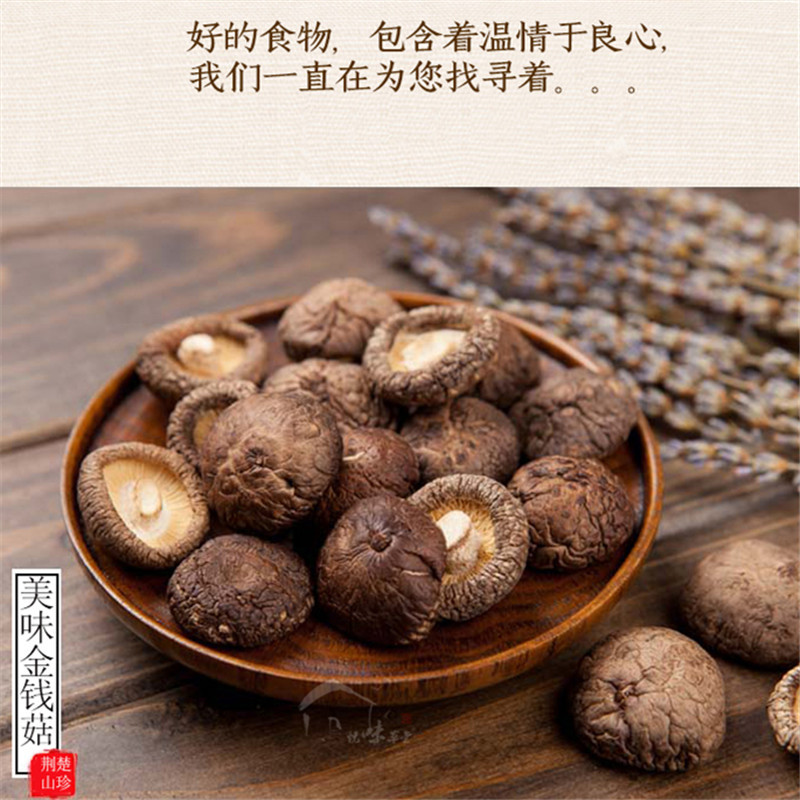 金钱菇