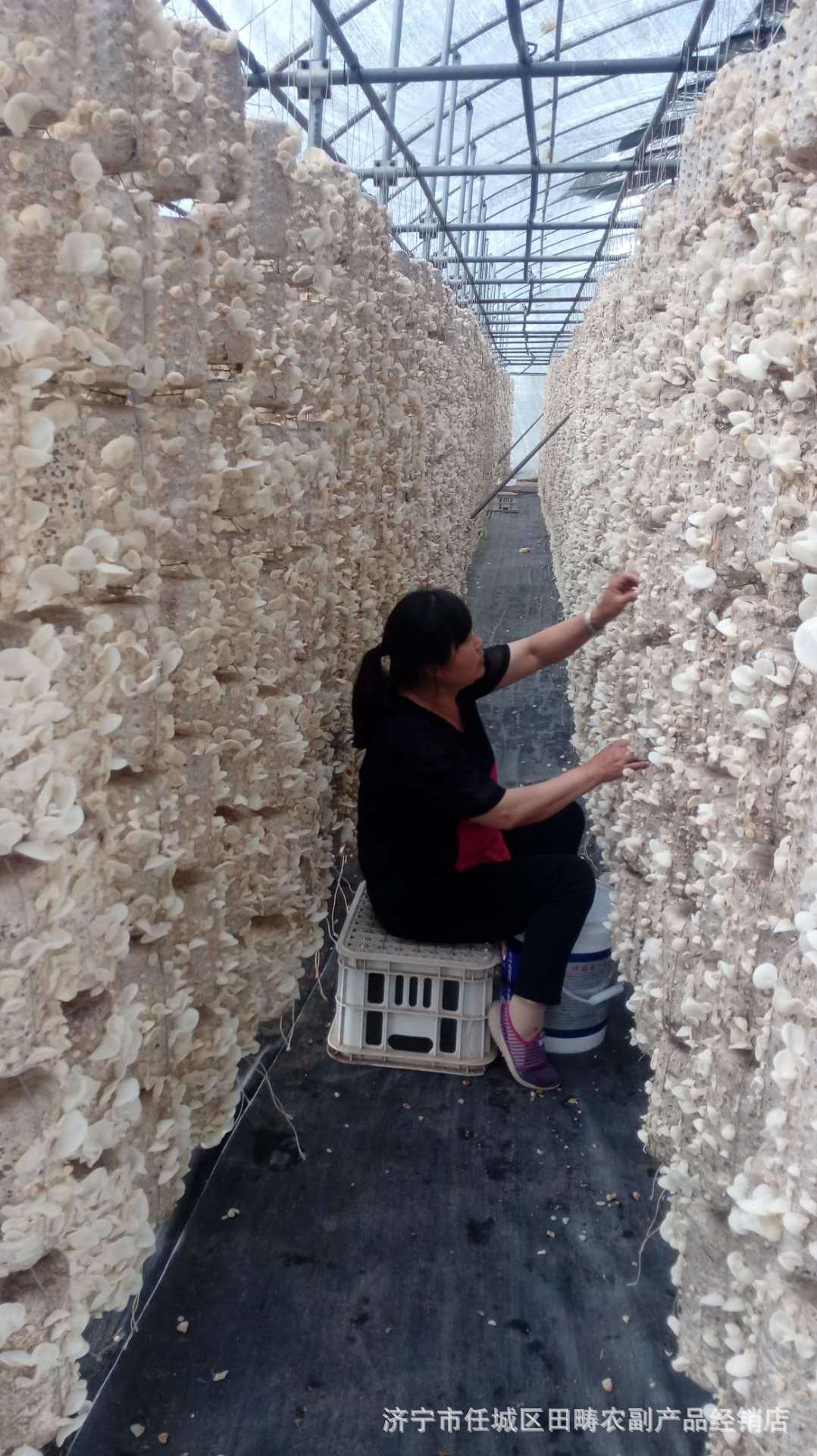 微信图片_20200407201317