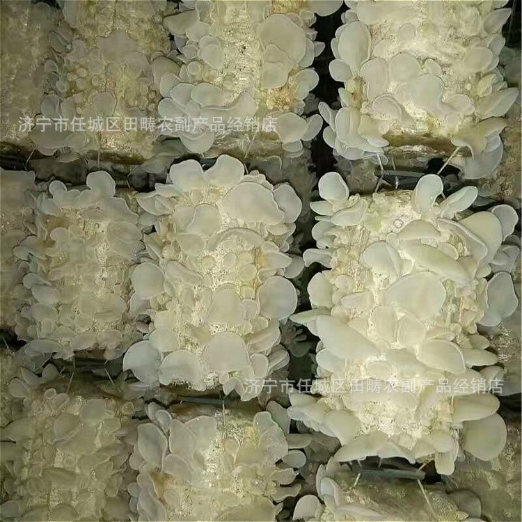 微信图片_20200420170415