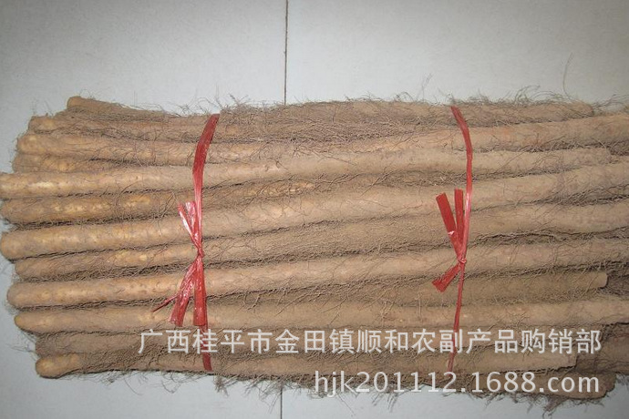 新鲜山药66