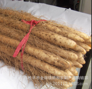 新鲜山药55