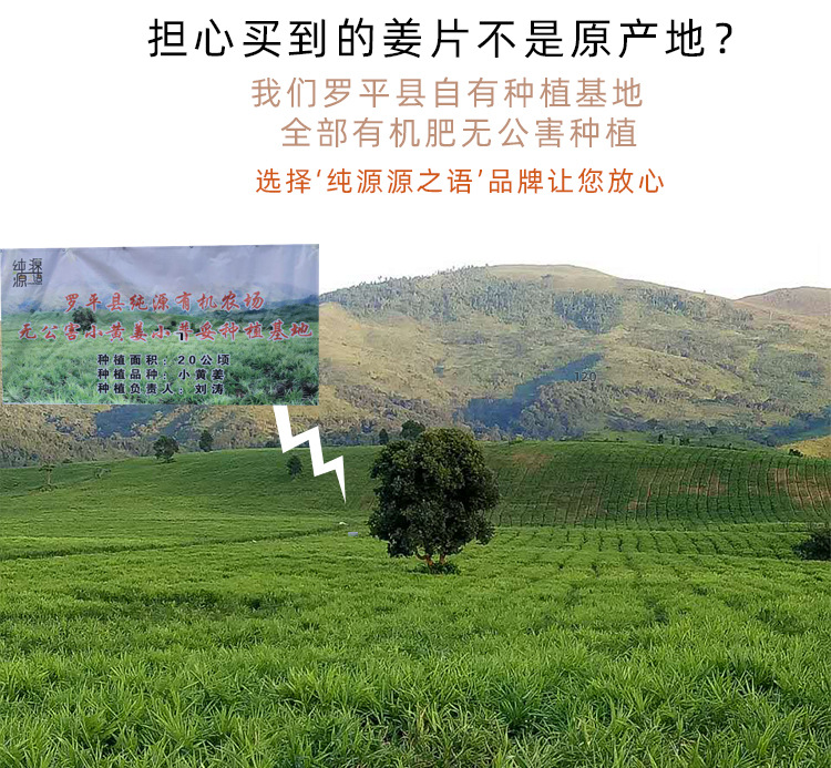 生姜丝_02.jpg