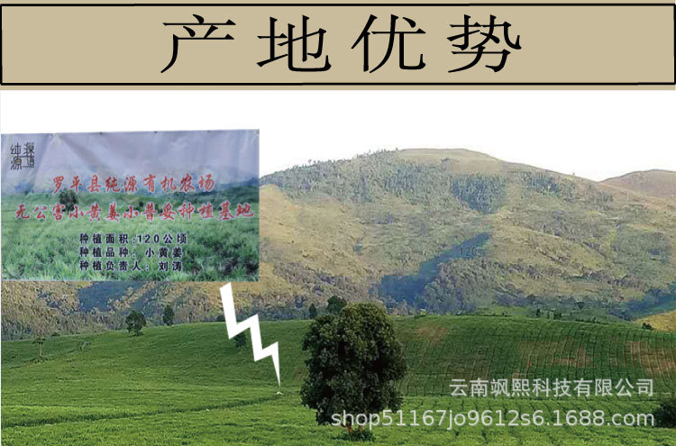 生姜片_08.jpg