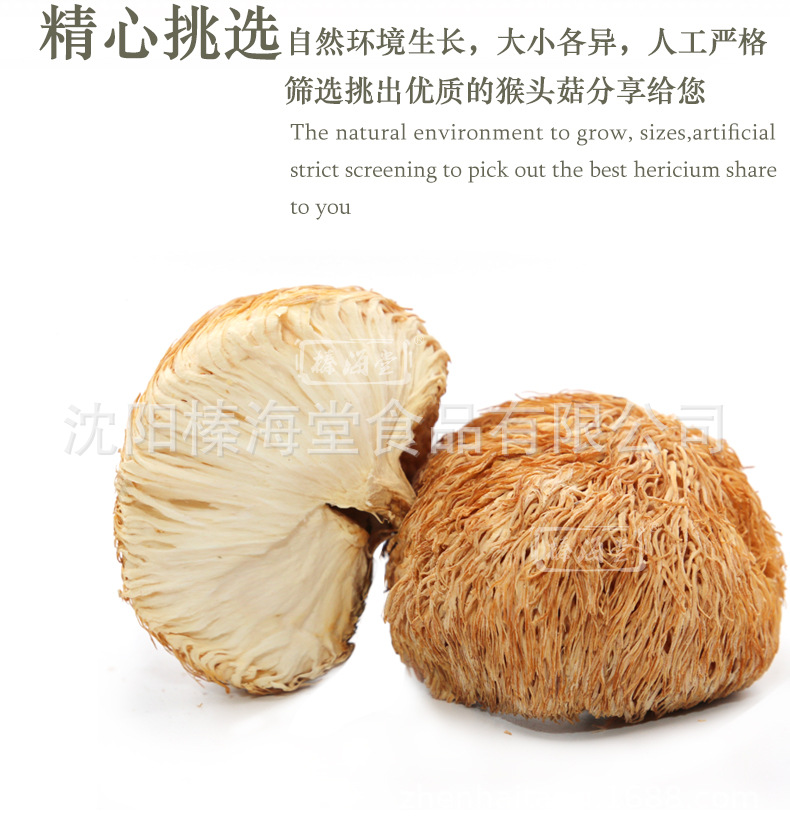 猴头菇详情页._08.jpg