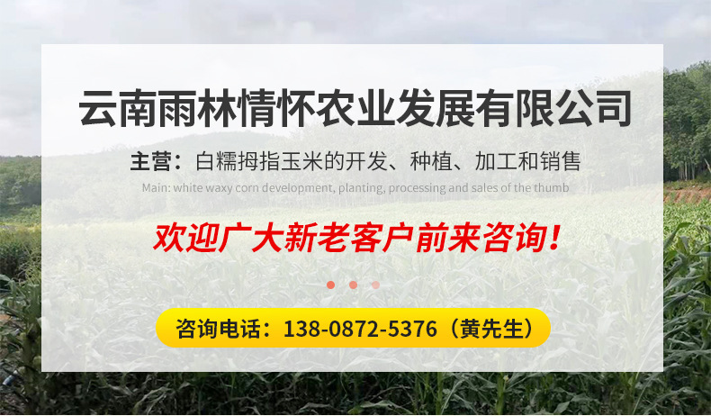 云南雨林情怀农业发展有限公司1_01