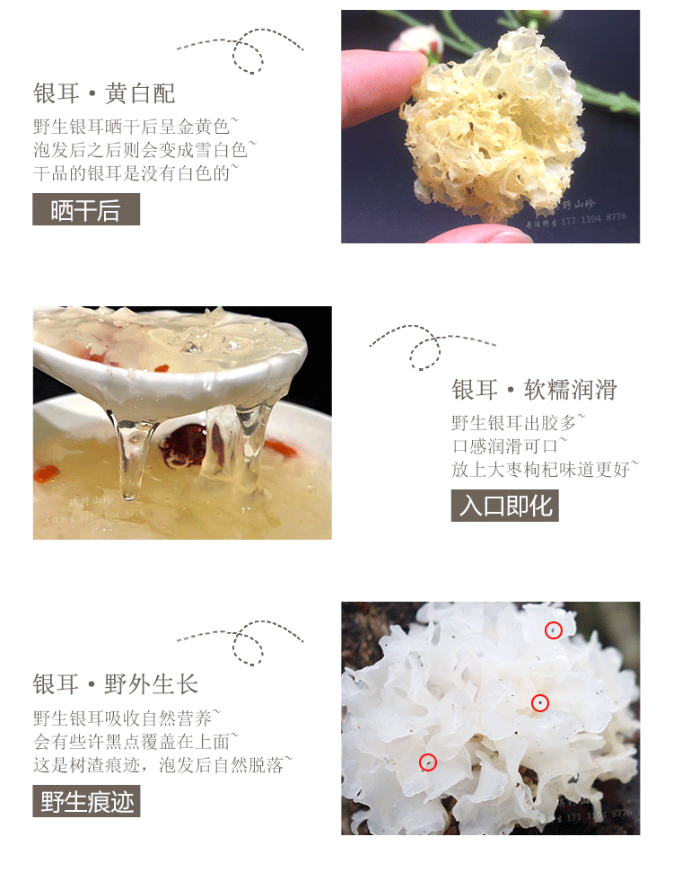 银耳水印_06.gif