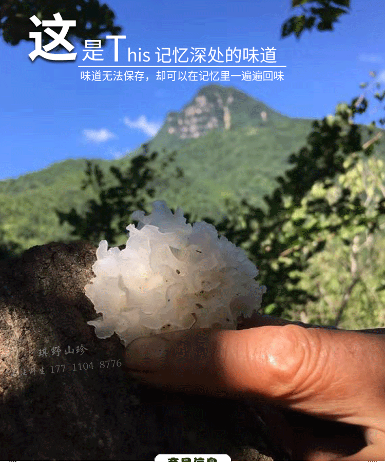 银耳水印_01.gif