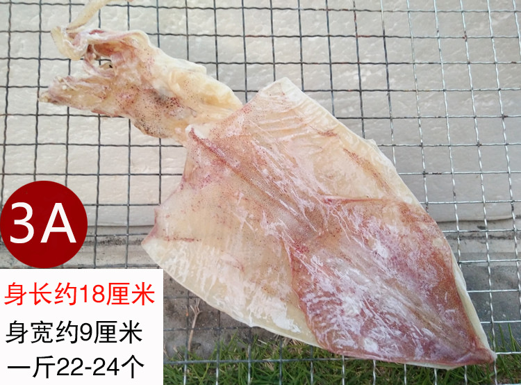海利兰3A-1副2.jpg