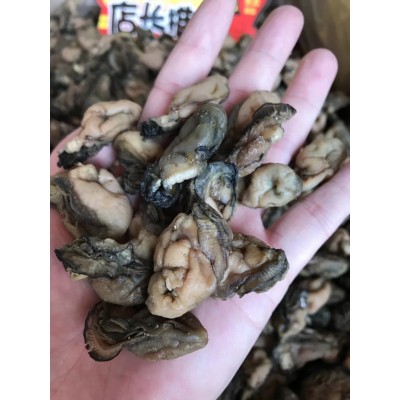 生蚝干 蚝干 海味干货批发 牡蛎干 水产干货 量大从优图4