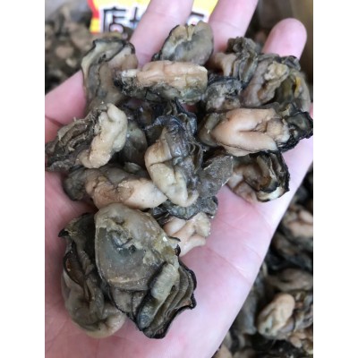 生蚝干 蚝干 海味干货批发 牡蛎干 水产干货 量大从优图3
