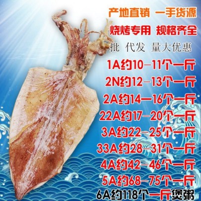 广西北海鲜水产海捕烧烤手撕淡干大干鱿鱼干货小大尤鱼2a散装批发图4