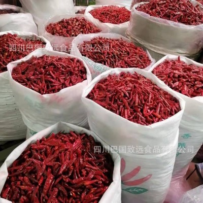 火锅飘锅辣椒河南新一代辣椒串串飘锅辣椒贵州子弹头满天星辣椒段图3