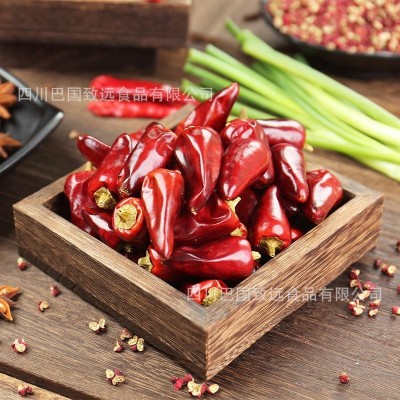 火锅飘锅辣椒河南新一代辣椒串串飘锅辣椒贵州子弹头满天星辣椒段图2