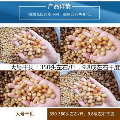 广西北海 干贝瑶柱批发淡干200头350头400头生晒海鲜干货500g煲粥图3