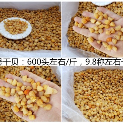 广西北海 干贝瑶柱批发淡干200头350头400头生晒海鲜干货500g煲粥图2