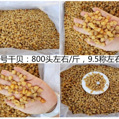 广西北海 干贝瑶柱批发淡干200头350头400头生晒海鲜干货500g煲粥图4