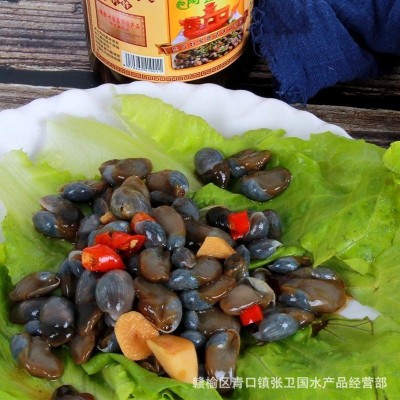 批发阿莲婆泥螺 中大个头 即食黄泥螺 味道鲜美易拉罐400克批发图5