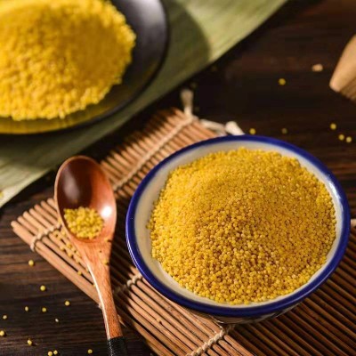 沁州黄小米粥小黄米新米5斤2023年新小米糯山西农家食用五谷杂粮图3