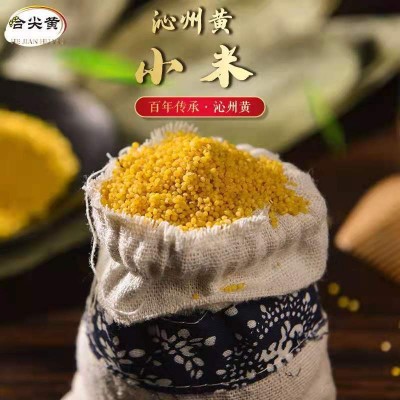 沁州黄小米粥小黄米新米5斤2023年新小米糯山西农家食用五谷杂粮图2