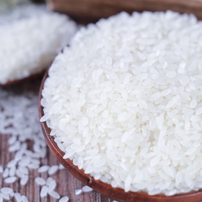 食堂大米批发 黑土种植东北大米量大价优一件代发批发吉林大米图2