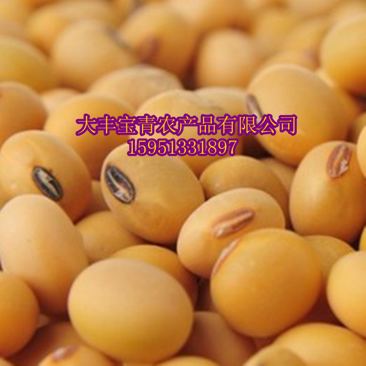 豆3