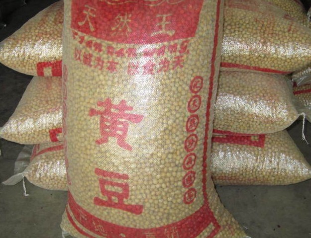 黄豆2