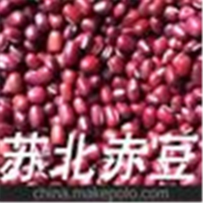 供应优质启东赤豆 厂家直销 深受东南亚国家欢迎图2