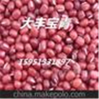 供应优质启东赤豆 厂家直销 深受东南亚国家欢迎