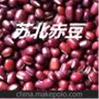 供应优质启东赤豆 厂家直销 深受东南亚国家欢迎图5