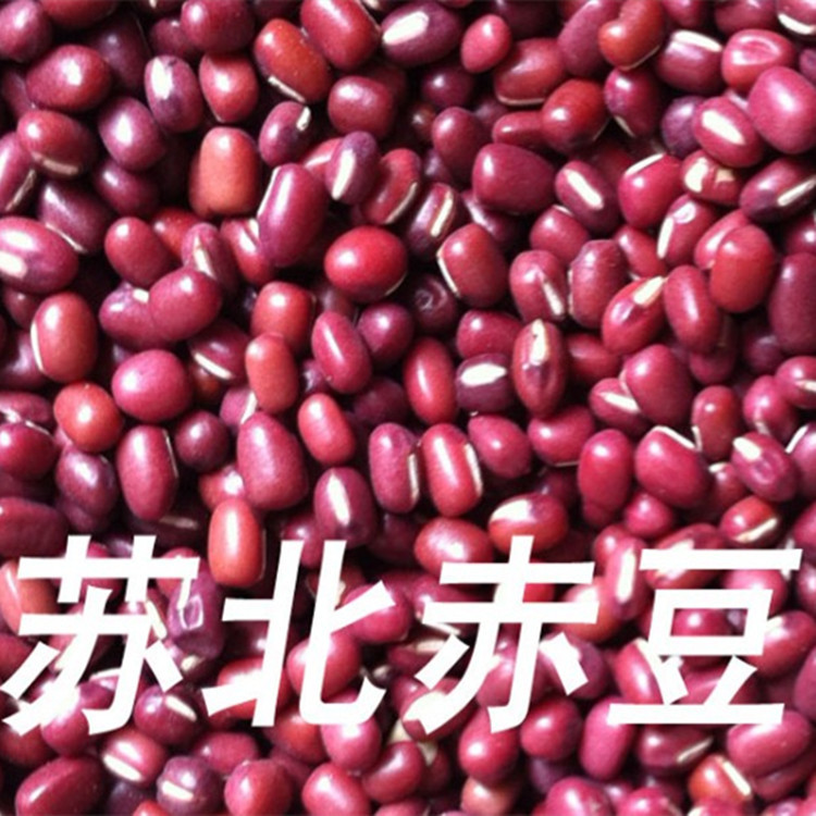 苏北赤豆