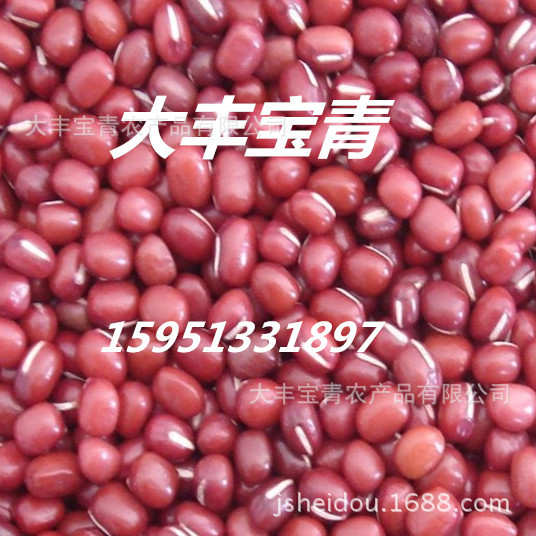苏北赤豆3