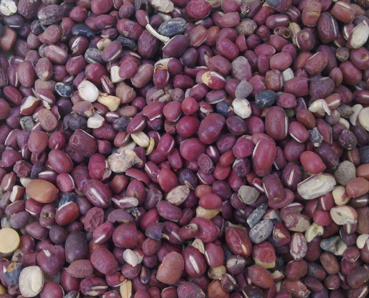 红小豆下料2