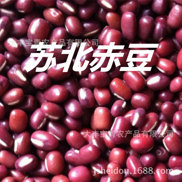 苏北赤豆2